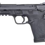 SMITH AND WESSON M&P380 SHIELD EZ 380ACP SAFETY