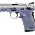 SMITH AND WESSON M&P380 SHIELD EZ 380ACP ORC/SS