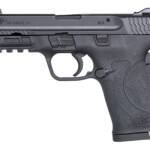 SMITH AND WESSON M&P380 SHIELD EZ 380ACP NTS