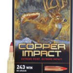 WINCHESTER COPPER IMPACT 243 - WIN 85GR 20RD 10BX/CS