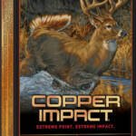WINCHESTER COPPER IMPACT 300 - WIN MAG 150GR 20RD 10BX/CS