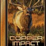 WINCHESTER COPPER IMPACT 300 - WSM 180GR 20RD 10BX/CS