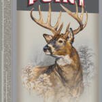 WINCHESTER SUPER-X 300 WSM - 180GR POWER POINT 20RD 10BX/CS