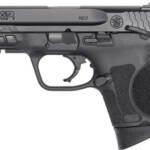 S&W M&P9 M2.0 SUB COMP 9MM FS - 3.6" 12-SHOT POLY THUMB SAFTY