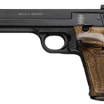 S&W 41 22LR 5.5" HB AS - 10SH-ATS-TS-DT BLUED WOOD