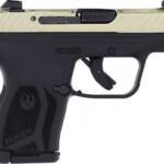 RUGER LCP MAX 380ACP FRONT - NIGHT SGT CHAMPAGNE PVD SLIDE