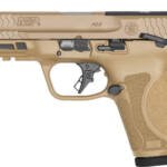 S&W M&P9 M2.0 COMPACT 9MM 4" - 10-SH OPTICS READY SAFETY FDE