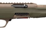 WINCHESTER WILDCAT 22LR 16.5" - ODGREEN/FDE SUPPRESSOR READY