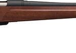 WINCHESTER XPR SPORTER 223 REM - 22" BLACK/WALNUT