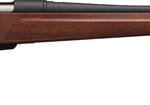 WINCHESTER XPR SPORTER 6.5 CM - 22" BLACK/WALNUT