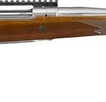 RUGER HAWKEYE HUNTER 308 WIN - STAINLESS WALNUT THREADED