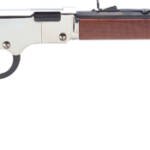 HENRY H4 GOLDENBOY SILVER - 22S/L/LR 20" OCTAGON WALNUT