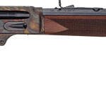 HENRY H10 CASE HARDENED SIDE - GATE 45-70 22" OCT. WALNUT LL