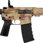 HIPOINT PISTOL HP-15 300 AAC - 10.5" 30RD BLADE BRACE STORM