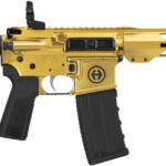HIPOINT PISTOL HP-15 300 AAC - 10.5" 30RD BLADE BRACE GOLD