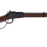 HENRY REPEATING ARMS LEVER SMALL GAME 22LR 20" PS #