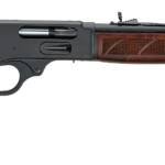 HENRY REPEATING ARMS LEVER ACTION 410/20 BL/WD