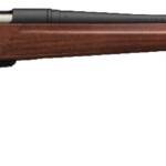 WINCHESTER XPR SPORTER 243WIN BL/WD 22"