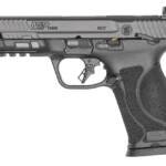 SMITH AND WESSON M&P10MM M2.0 10MM 4.6" TS CA