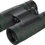 BURRIS BINOCULAR DROPTINE HD - 10X42 ROOF PRISM GREEN/GRAY