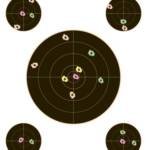 CHAMPION VISICOLOR TARGET - BULLSEYE W/4 XTRA BULLS 10-PK