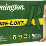 REMINGTON 300 RUM 180GR - CORE-LOKT PSP 20RD 10BX/CS