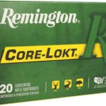 REMINGTON 30-06 180GR - CORE-LOKT PSP 20RD 10BX/CS