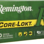 REMINGTON 308 WIN 180GR - CORE-LOKT SP 20RD 10BX/CS