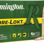 REMINGTON 338 RUM 250GR - CORE-LOKT PSP 20RD 10BX/CS