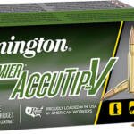 REMINGTON 17 REM 20GR ACCU-TIP - BT 20RD 10BX/CS