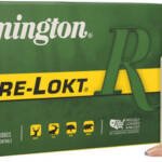 REMINGTON 300 WBY MAGNUM 180GR - CORE-LOKT PSP 20RD 10BX/CS