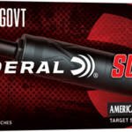 FEDERAL 45-70 GOV 300GR SP - SUBSONIC 20RD 10BX/CS
