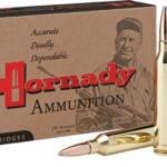 HORNADY 250 SAVAGE 100GR - INTERLOCK 20RD 10BX/CS
