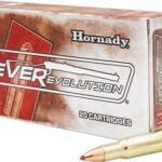 HORNADY LEVEREVOLUTION 348 WIN - 200GR FTX 20RD 10BX/CS