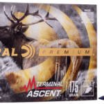 FEDERAL 30-06 175GR TERMINAL - ASCENT 20RD 10BX/CS