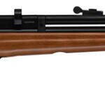 BEEMAN 1331 PCP RADIER .22 CAL - PELLET AIR RIFLE 10 SHOT<