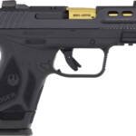 RUGER SECURITY-380 380ACP - ADJ 15-SHOT BLK SYN GOLD BBL