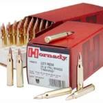 HORNADY 223 REM 55GR FMJ - 50RD 10BX/CS