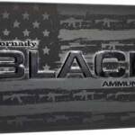 HORNADY BLACK 300 AAC 110GR - NTX 20RD 10BX/CS