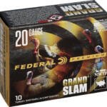 FEDERAL GRAND SLAM 20GA 3" - 1-5/16OZ #5 10RD 5BX/CS