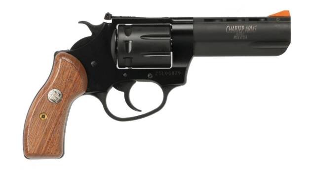 CHARTER ARMS PATHFINDER II 22LR BLK/WD 3.5"