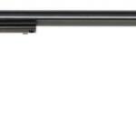 HERITAGE MANUFACTURING RR 22LR COLOR CASE 16" 6RD FS