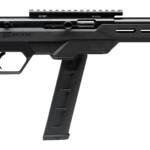 SAVAGE ARMS 64 PRECISION 22LR BL/BK 20+1