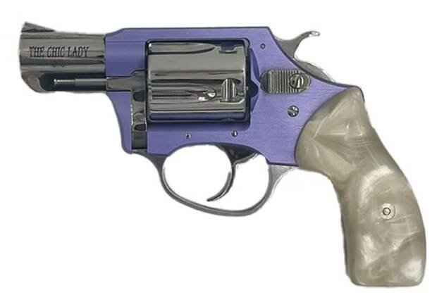 CHARTER ARMS CHARTER CHIC LADY 38SPC LAV/SS