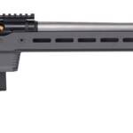 SAVAGE ARMS 110 ELITE PRECISION 300WIN