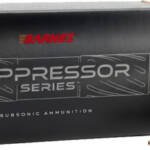 BARNES 300 AAC SUBSONIC 220GR - JHP 20RD 10BX/CS