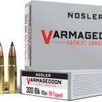 NOSLER VARMAGEDDON 300 AAC - 110GR FBT 20RD 10BX/CS