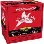 WINCHESTER MAGNUM PHEASANT - 20GA 2.75" 1OZ 5&6 25RD 10BX/C