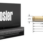 NOSLER 243 WIN 90GR BALLISTIC - TIP 20RD 10BX/CS