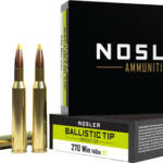 NOSLER 270 WIN 140GR - BALLISTIC TIP 20RD 10BX/CS